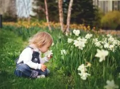 Sensory Garden scaled