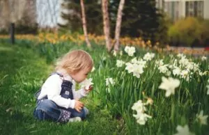 Sensory Garden scaled