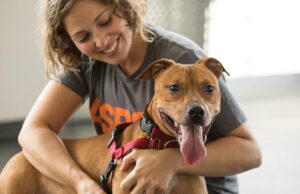 Mental and Physical Health Benefits of Owning a Dog