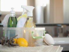 Natural Home Cleaners Every Homeowner Needs