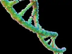 Understanding the Role of DNA