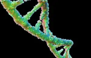 Understanding the Role of DNA