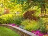 5 Tips for Better Performance From Native Plants on Your Property scaled