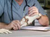 Tips To Improve Your Orthopedic Practice