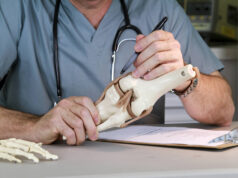 Tips To Improve Your Orthopedic Practice