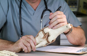 Tips To Improve Your Orthopedic Practice