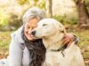 8 Best Companion Dogs: Suitable for Families and Elderly