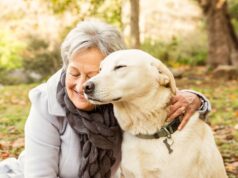 8 Best Companion Dogs: Suitable for Families and Elderly