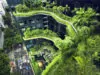 Green Living in Singapore scaled