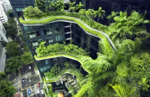 Green Living in Singapore scaled