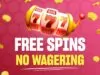 Why Are Free Spins No Wagering Bonuses Popular Among Players scaled