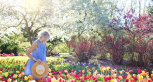 dreamy flower garden