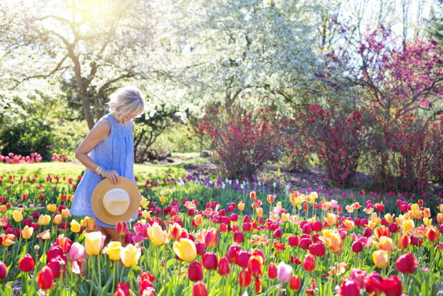 dreamy flower garden