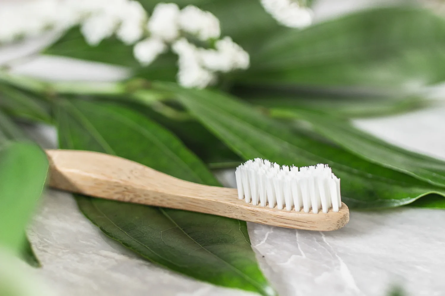 Bamboo Toothbrush